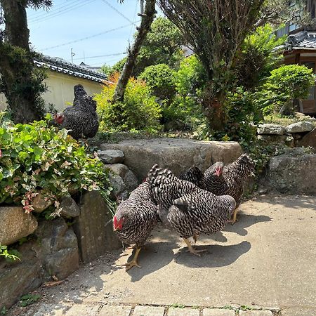 Osaka Nose Farmer'S Guest House　Yasuda Farm Экстерьер фото