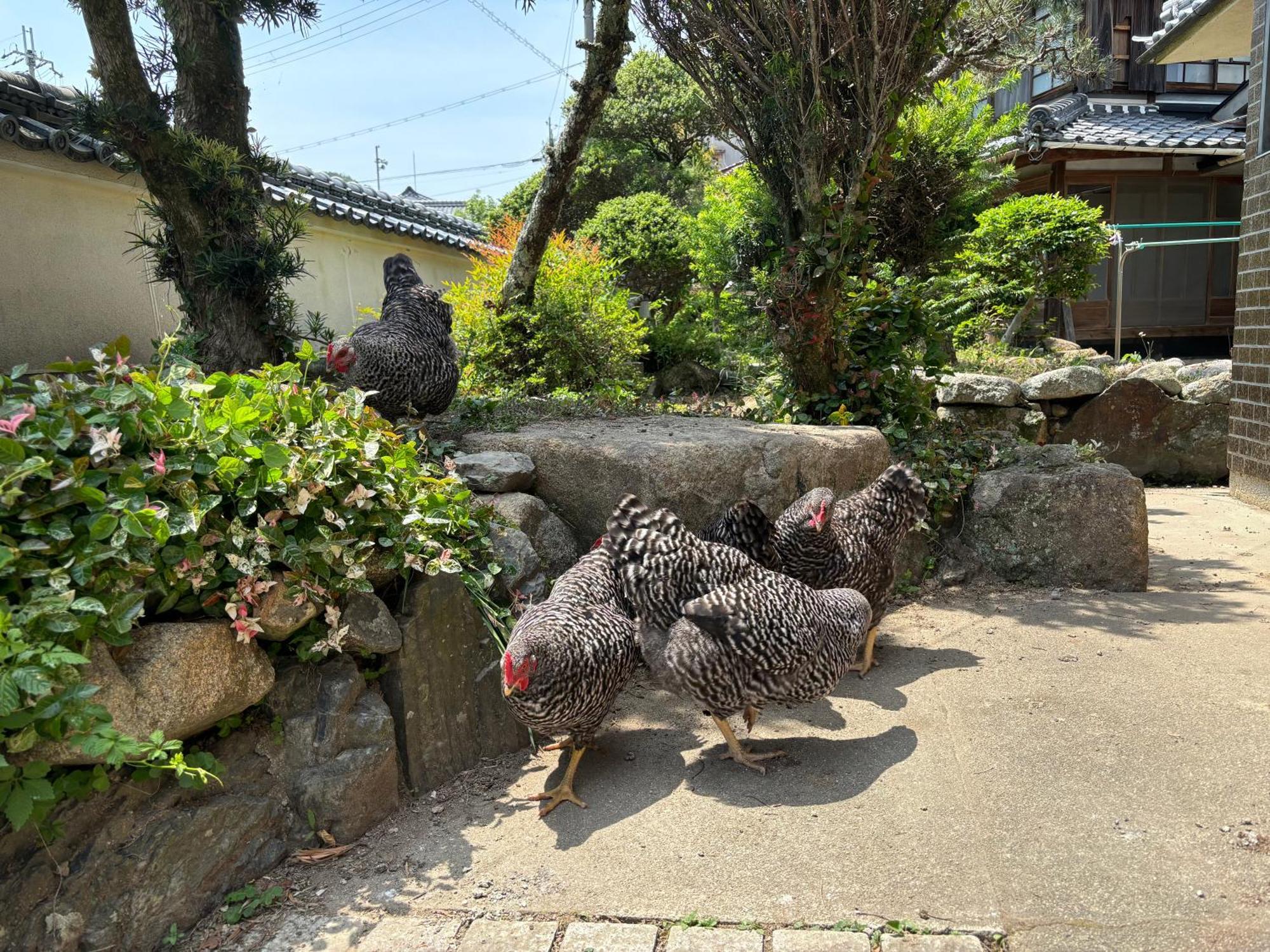 Osaka Nose Farmer'S Guest House　Yasuda Farm Экстерьер фото